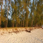 Zanzibar na pláži